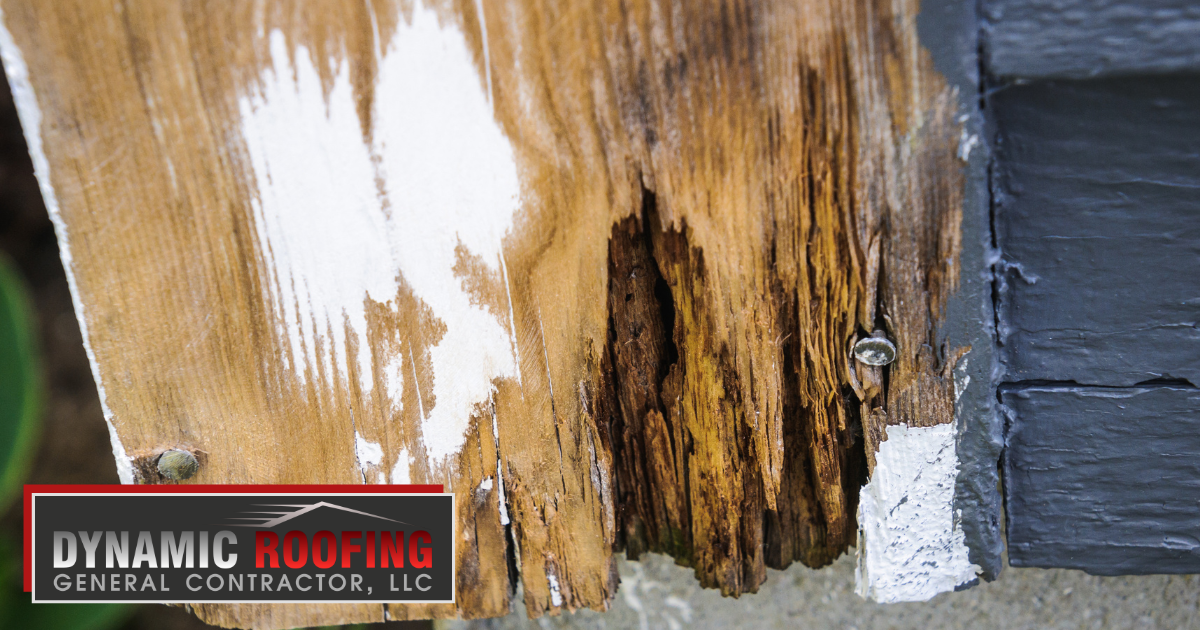 Wood Rot Repair with Dynamic Roofing